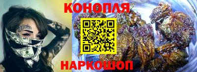 крисы Кулебаки