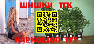 крисы Кулебаки