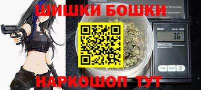 крисы Кулебаки