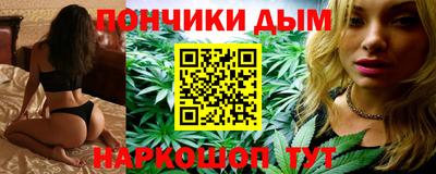 крисы Кулебаки