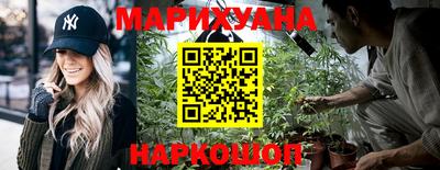 крисы Кулебаки