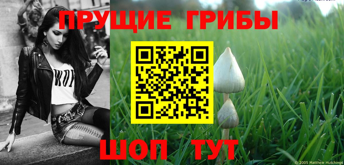 Псилоцибиновые грибы Cubensis  даркнет сайт  Заводоуковск  Вход с VPN  Галлюциногенные грибы ЛСД 